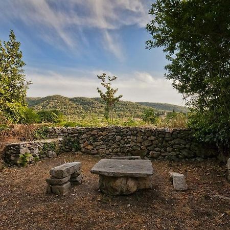 450 Year-Old House With A Garden Villa Stari Grad  Eksteriør bilde